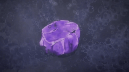 la pierre philosophale et l'aveuglement mental