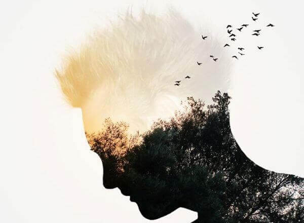 légendes et mensonges