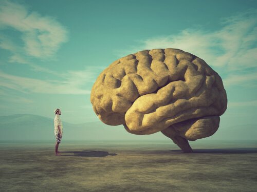 Nous avons le pouvoir de sculpter notre cerveau