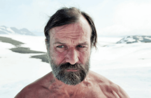 wim hof