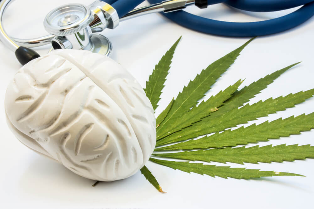 Les effets à long terme du cannabis sur le cerveau Nos Pensées