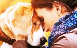 Les raisons qui nous poussent à aimer un animal avec autant d'intensité