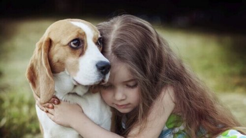 aimer un animal