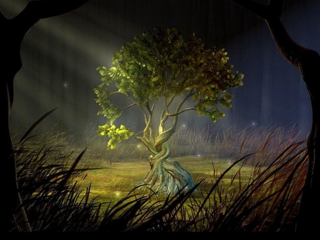 quand les rêves deviennent réalité