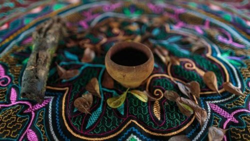 ayahuasca