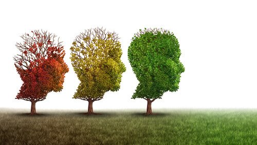 lien entre herpès et détérioration cognitive