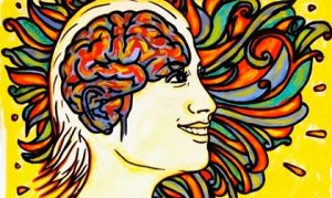 Le bonheur réside dans l'hémisphère gauche
