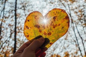 Wabi Sabi, la beauté de l'imperfection