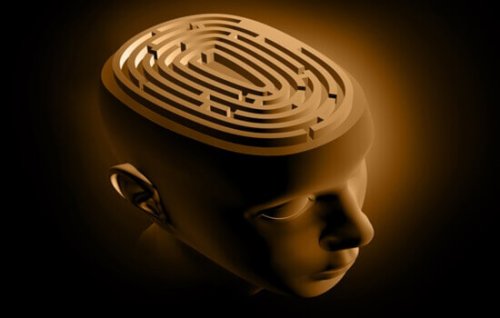curiosités sur le cerveau