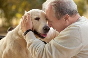 Thérapie assistée par l'animal chez des personnes atteintes d'Alzheimer