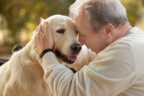 Thérapie assistée par l'animal chez des personnes atteintes d'Alzheimer