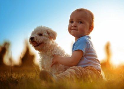plus de compassion : les instincts primaires