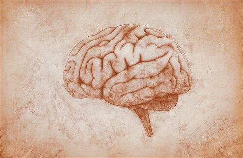 cerveau d'une personnalité résiliente