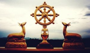 Dharma, un chemin vers l'entendement et le sens vital