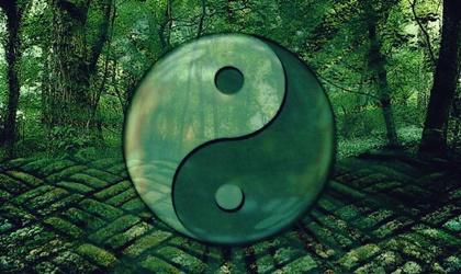 7 phrases du Tao pour évoluer