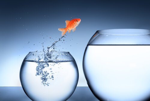 contrôle aversif et contrôle appétitif