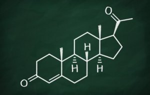 Progestérone : caractéristiques et fonctions