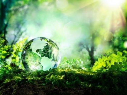 notre impact sur l'environnement et l'intelligence écologique
