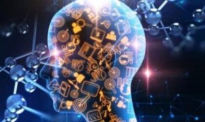 La théorie du couteau suisse: la modularité de l'esprit