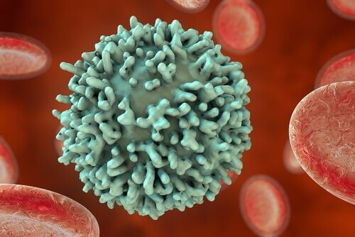 réponse immunitaire et lymphocytes