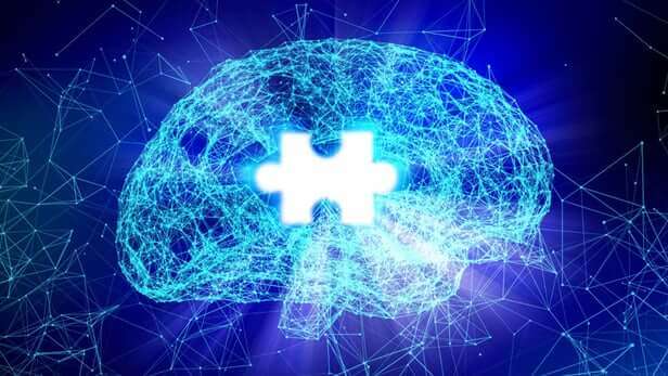 psychophysiologie et cerveau