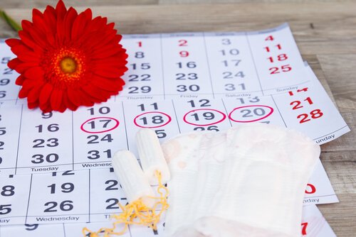 Phase de menstruation