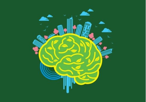 Neuro-architecture: le pouvoir de l'environnement sur le cerveau