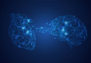 Le modèle d'intégration neuro-viscérale : la connexion cerveau-coeur