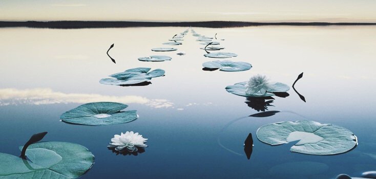 le hobbit et la zone de confort