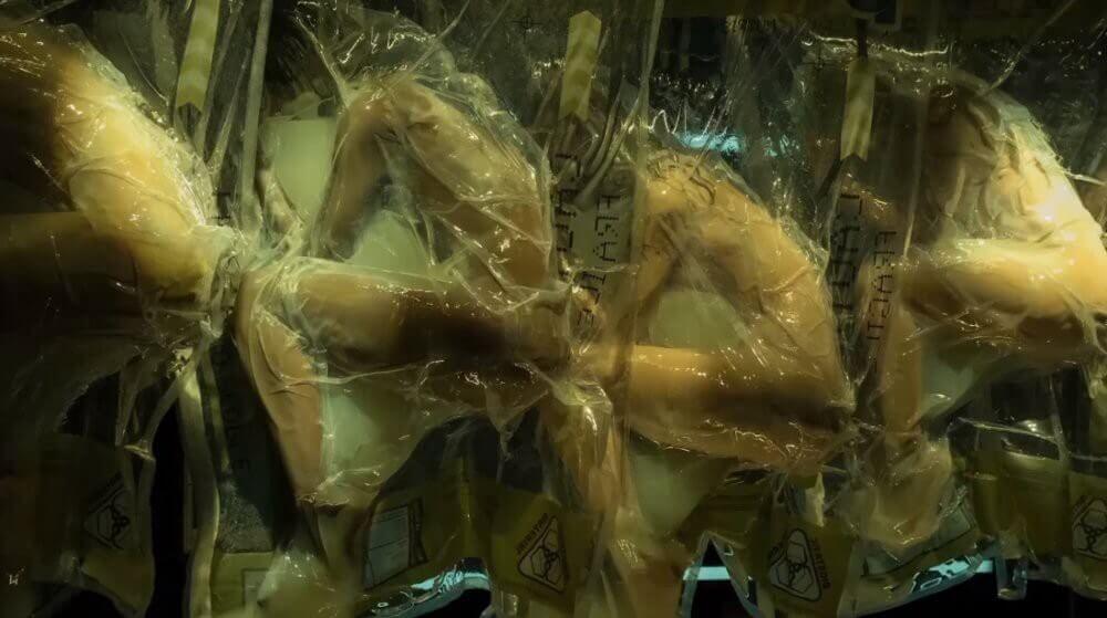 Altered Carbon