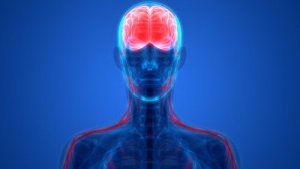 Psychiatrie biologique : en quoi consiste-t-elle ?