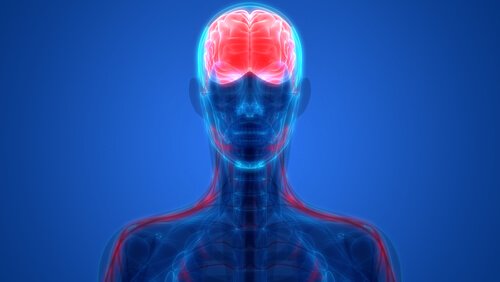 Psychiatrie biologique : en quoi consiste-t-elle ?