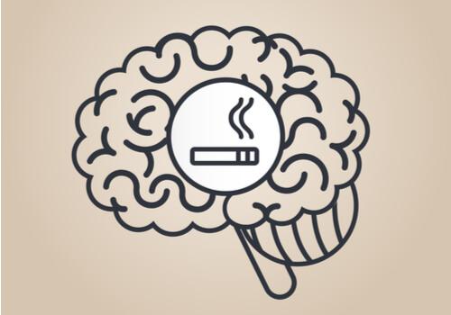 Nicotine: comment affecte-t-elle le cerveau?