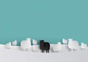 Le mouton noir au sein du groupe
