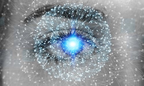 système nerveux parasympatique