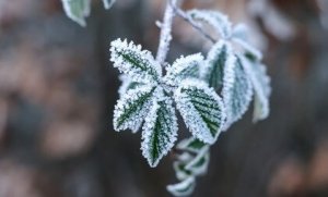 Comment vivre avec une personne alexithymique