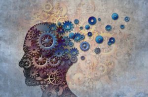 C’est ainsi que le cerveau combine les souvenirs pour résoudre des problèmes