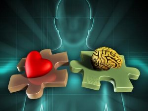 La neuroanatomie des émotions