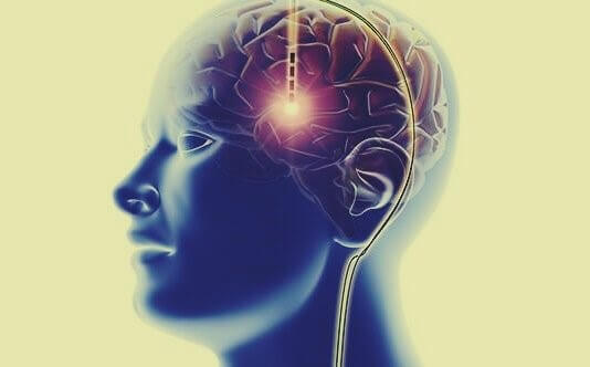 système de récompense du cerveau et plaisir