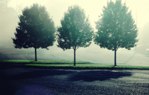3 chemins de fuite qui nourrissent l'angoisse