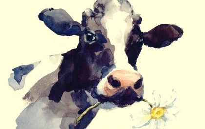 La vache dans le ravin, une belle morale