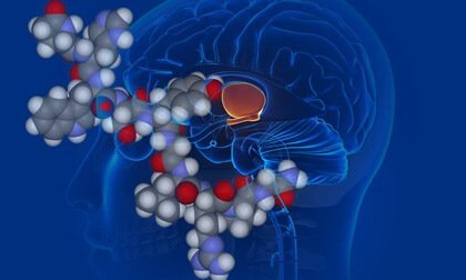La vasopressine, ou l'hormone antidiurétique