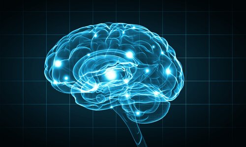 effet de l'art sur le cerveau