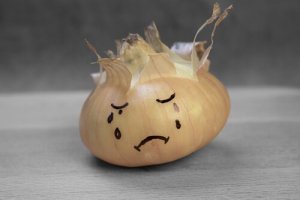 Le cœur de l'oignon, une histoire sur la justice