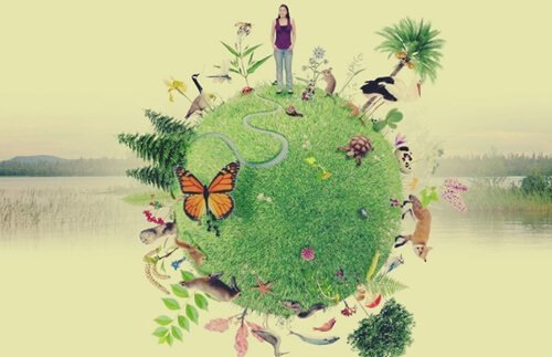 illustration représentant l'émodiversité