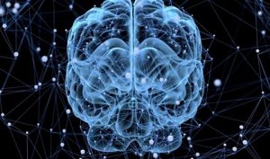 Notre cerveau se repose-t-il ?