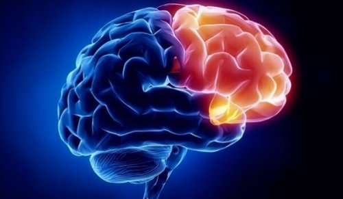 région cérébrale de la culpabilité