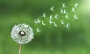 La loi du moindre effort pour gérer le stress