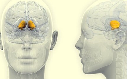 paralysie supranucléaire progressive et troubles moteurs