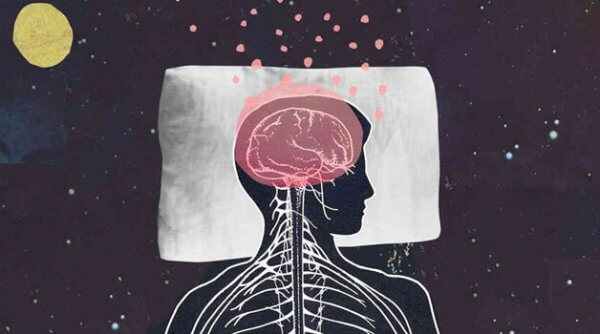 cerveau et sommeil